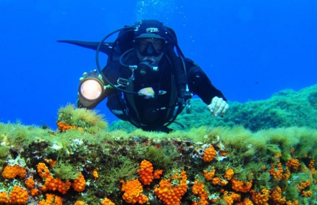 Terraferma Diving